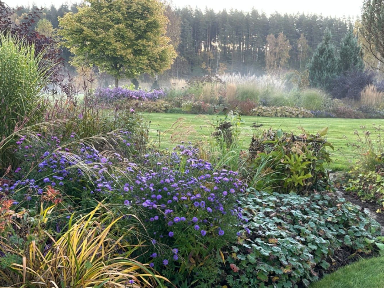 An autumn garden wrapped in soft morning mist – in the foreground blooming asters and fading foliage, with sweeping ornamental grasses and borders beyond, and a forest silhouette dissolving i
