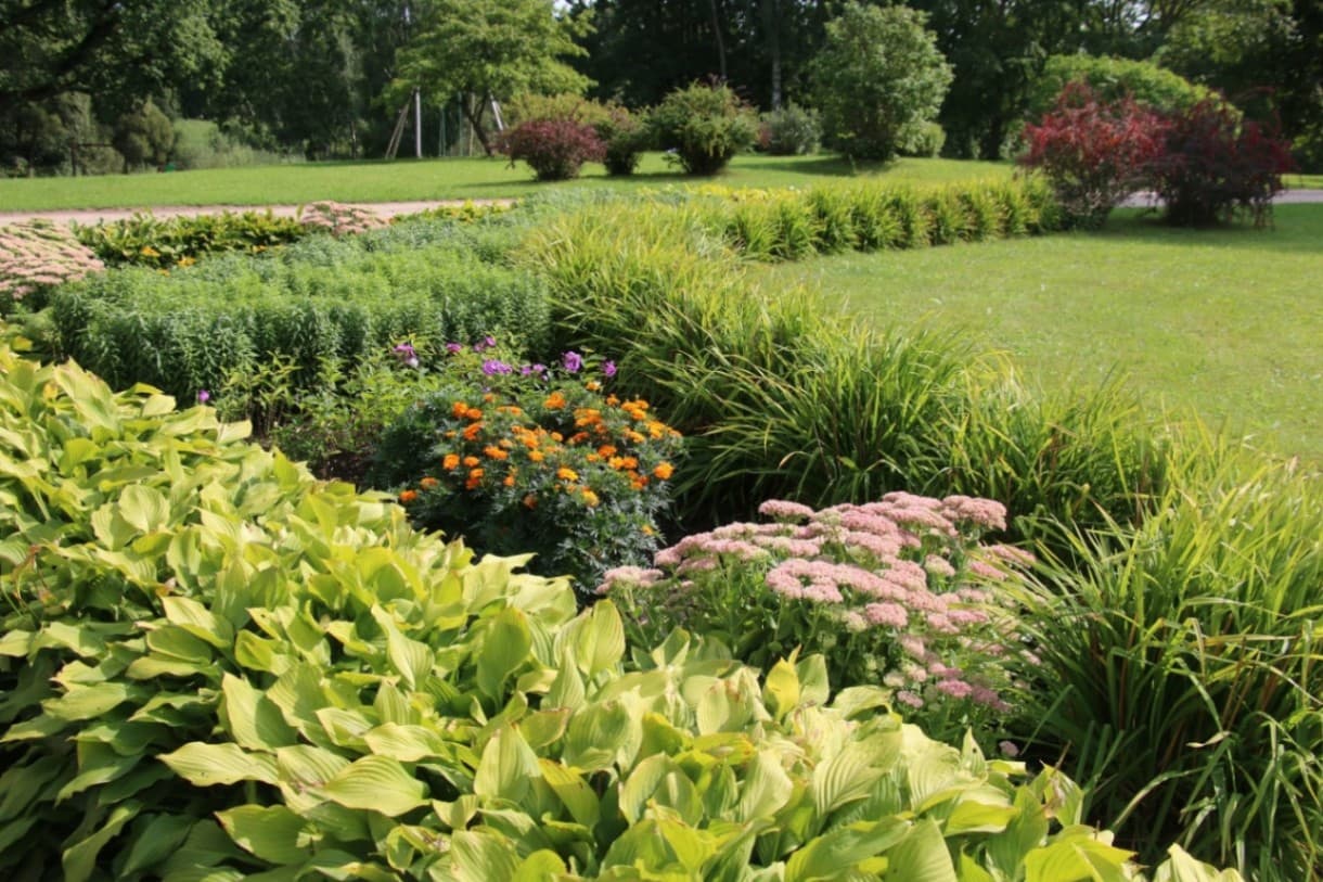 Flower beds in the manor park with plants of different textures and colours: light green hostas, ornamental grasses, orange marigolds, pink sedums and violet phlox. Around the beds there are 