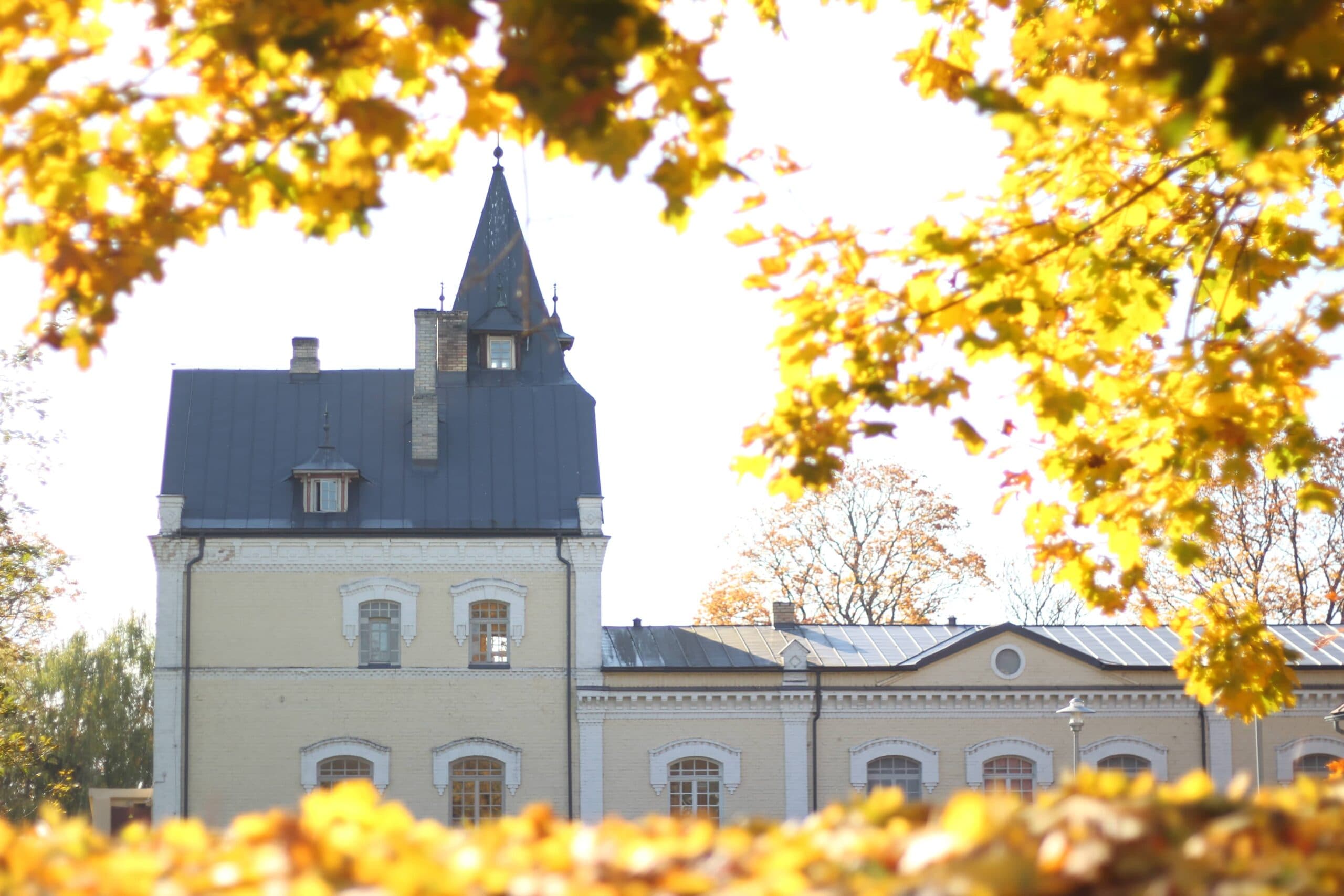 Doles muižas parks (Daugavas muzejs)