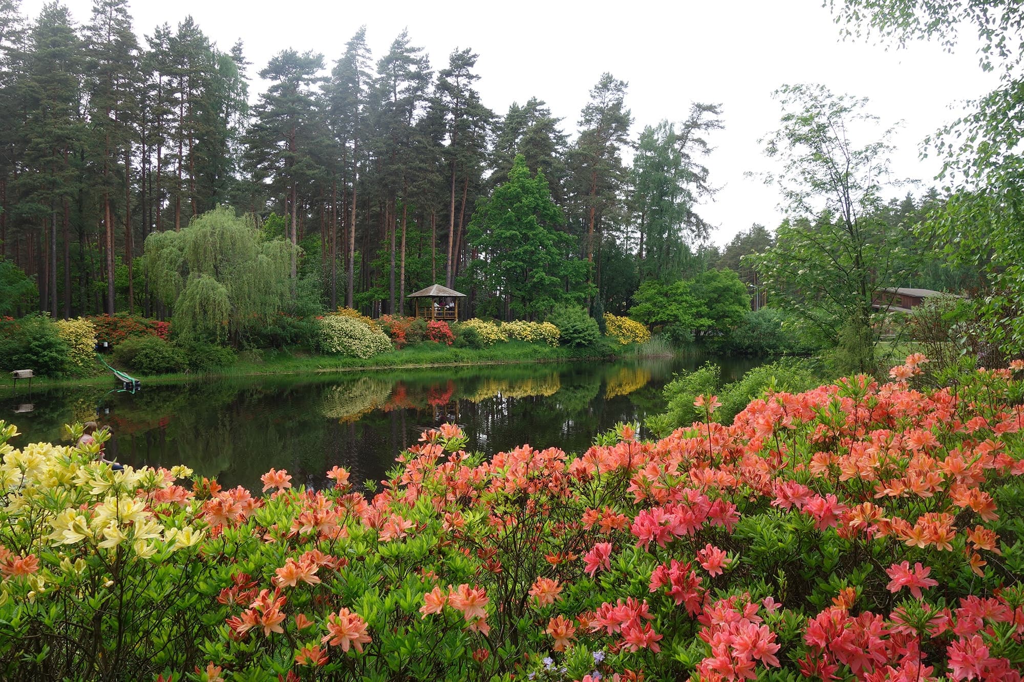Rododendronikasvatusaed “Babīte”