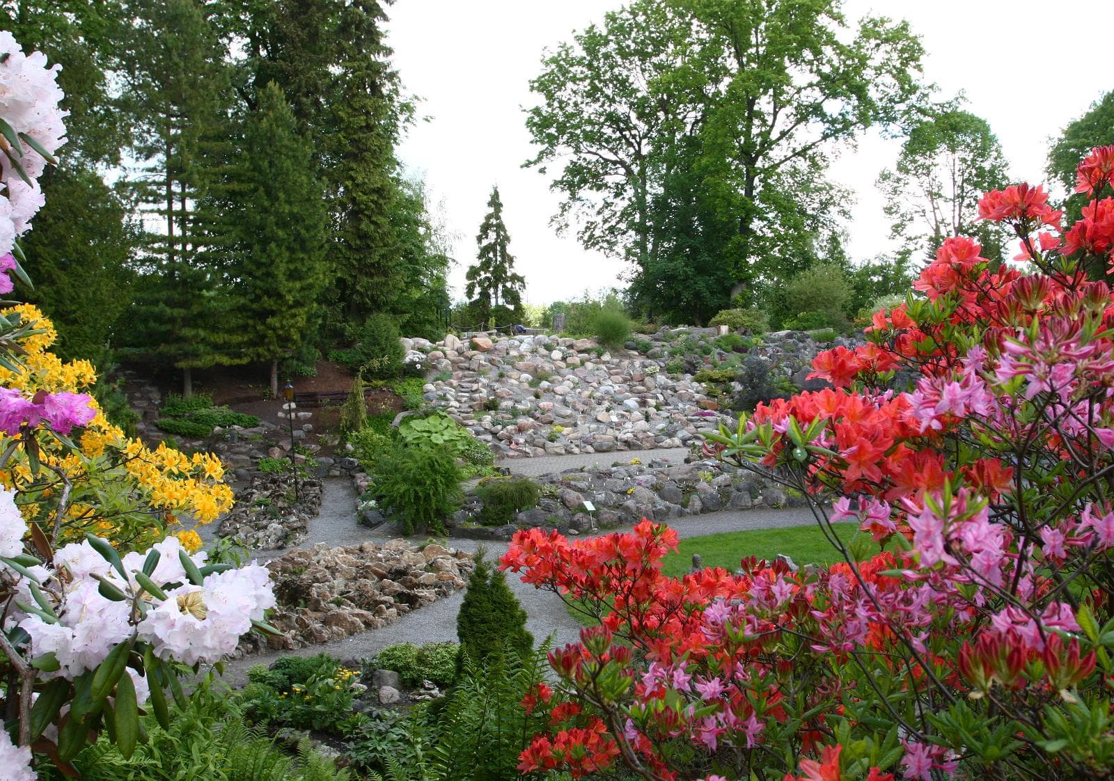 Tartu universitātes botāniskais dārzs