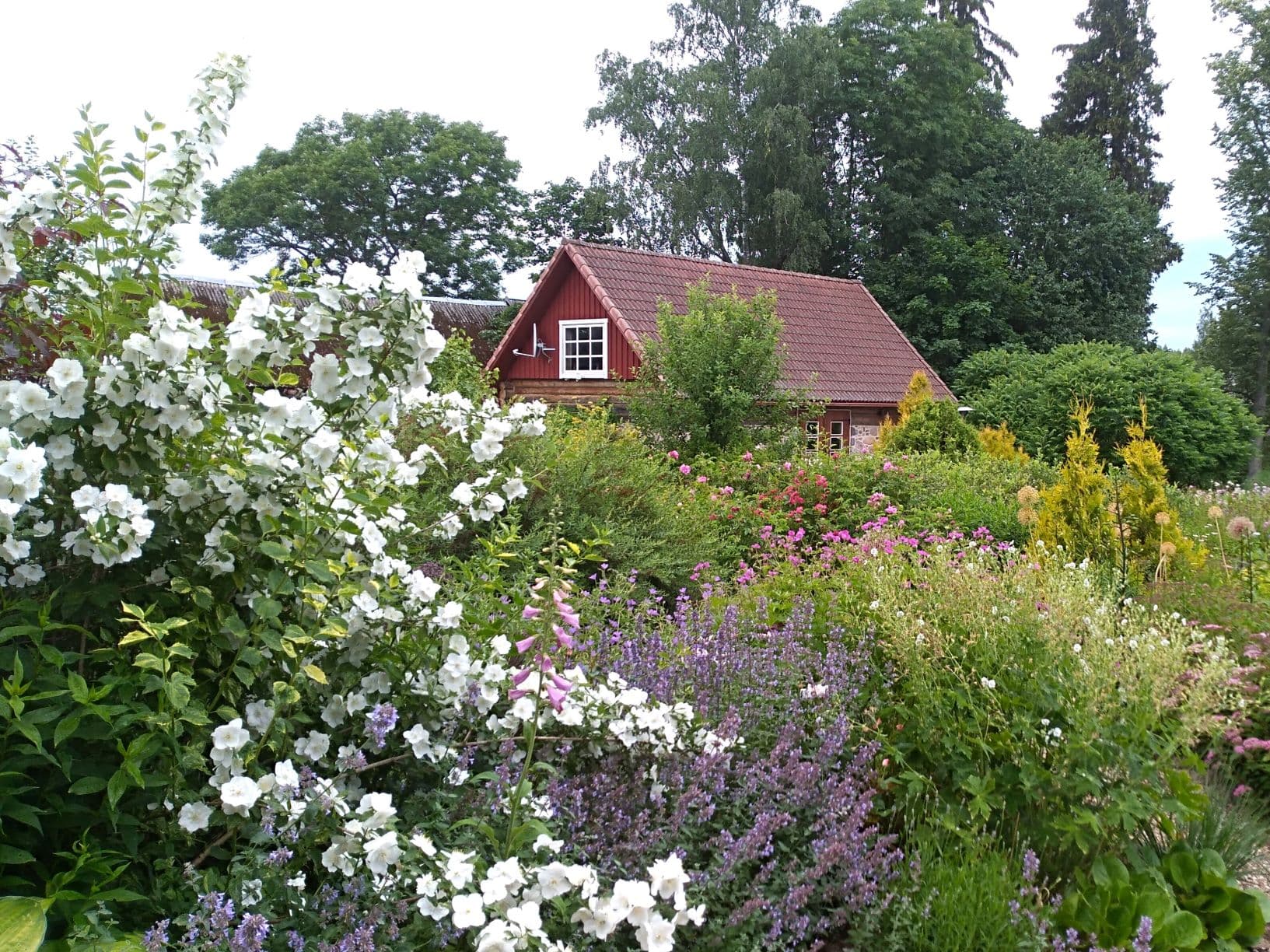 Mikko Farm „Garden With Hearts“