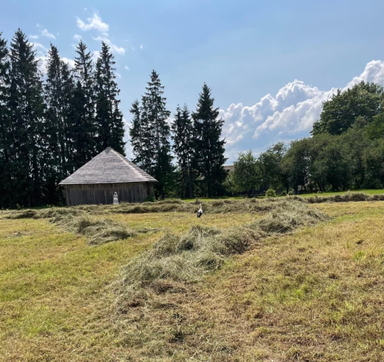 Siena laiks Vēveros. Skats uz ”Virolvēveru” klēti