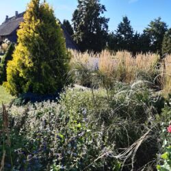 5 August: Garden of Seven Winds, Muhu Island, Estonia