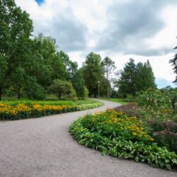 Terneja Park