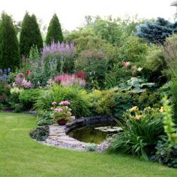 16-17 July: Midsummer bloomers at Maie's Garden in Pärnu county, Estonia