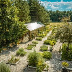 3-4 MAY: Tamme Farm Herb Garden: Season Opening and First Outdoor Plant Sale, Estonia
