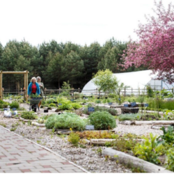 7 JUNE: Tamme Farm Herb Garden: Open Garden Day, Estonia