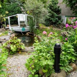 16 AUGUST: Garden Day: Water Fountain in the Room and/or Garden, Estonia