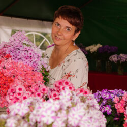 2-3 AUGUST: Nõrga farm phlox show, Estonia