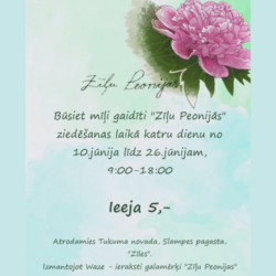 10. - 26.jūnijs: Peoniju dārzs “Zīļu peonijas” atvērts apskatei