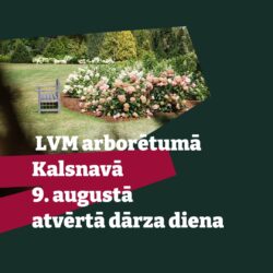 9.augusts: LVM arborētums Kalsnavā “Atvērtās dārza dienas”