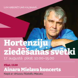 17. augusts: Hortenziju ziedēšanas svētki LVM arborētumā Kalsnavā