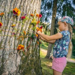 6.septembris: Ozolu diena Turaidā