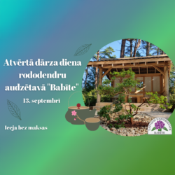 13.septembris: Atvērtā dārza diena rododendru audzētavā "Babīte"